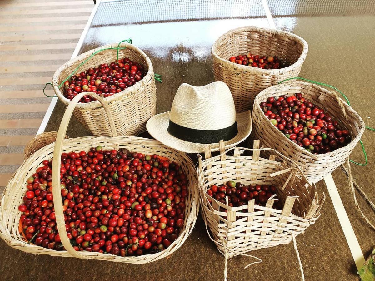 Finca Hotel La Quinta Porra อาร์เมเนีย ภายนอก รูปภาพ